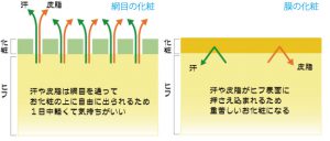 網目の化粧と膜の化粧